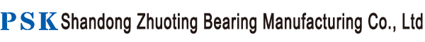 Shandong Zhuoting Bearing Manufacturing Co., Ltd.